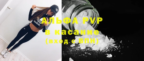 индика Армянск