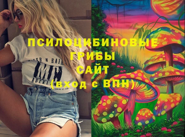 твердый Медногорск
