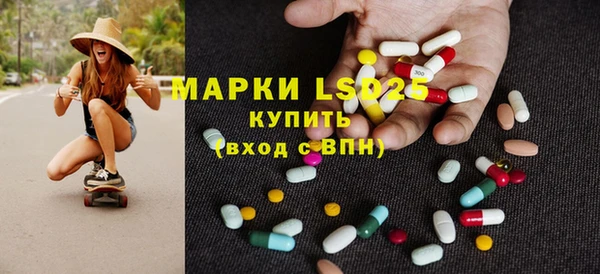 индика Армянск