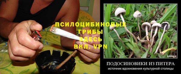 Альфа ПВП Мегион