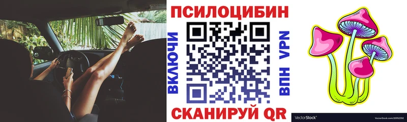 Псилоцибиновые грибы Cubensis  Луза 